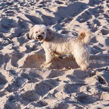 Sylt Nov 2012 213