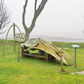 Sylt Nov 2012 303