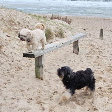 Sylt Nov 2012 321