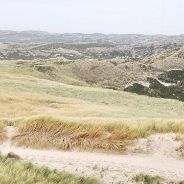 Sylt Nov 2012 328