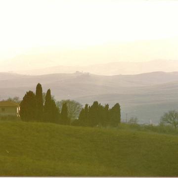 Toscana19