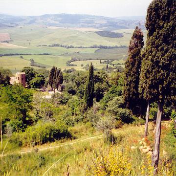 Toscana 2001 11