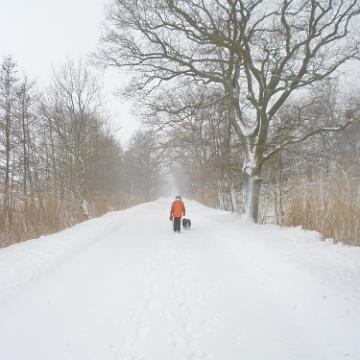 Zingst 2010 01