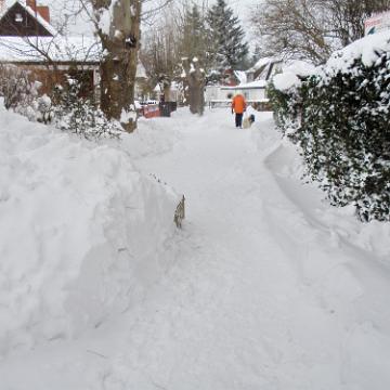 Zingst 2010 26